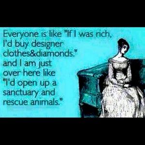 Meet your Posher, Kelly… Open to offers :) open to trades !